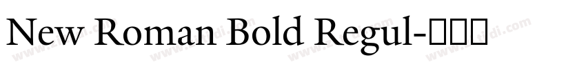 New Roman Bold Regul字体转换